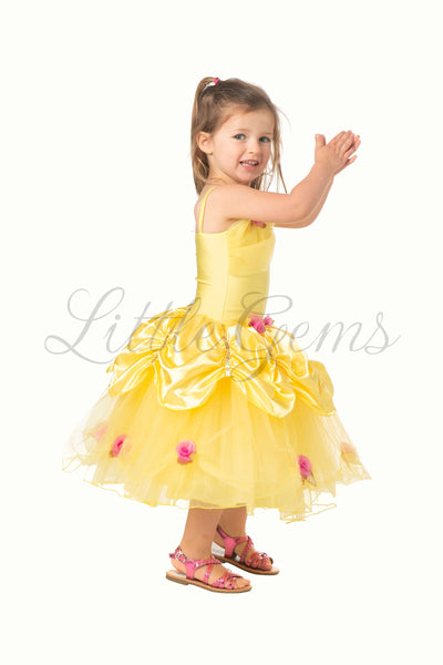 Belle Princess Dress